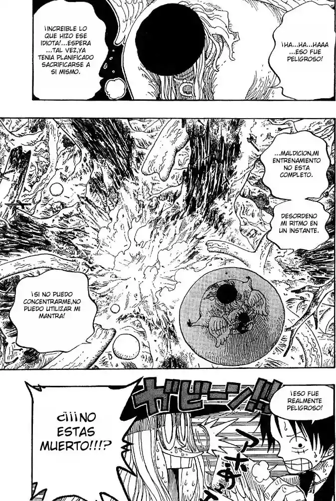 One Piece Capítulo 250 - Página 13 en español