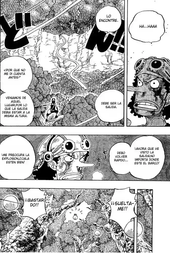 One Piece Capítulo 250 - Página 14 en español