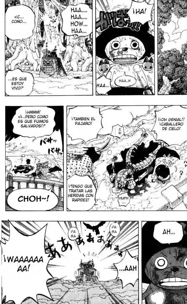 One Piece Capítulo 251 - Página 14 en español