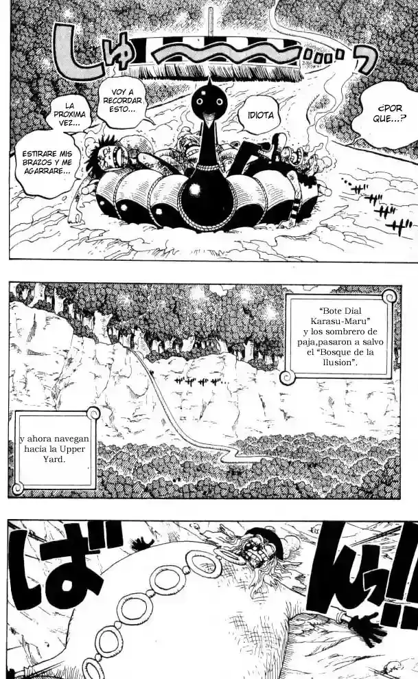 One Piece Capítulo 251 - Página 6 en español