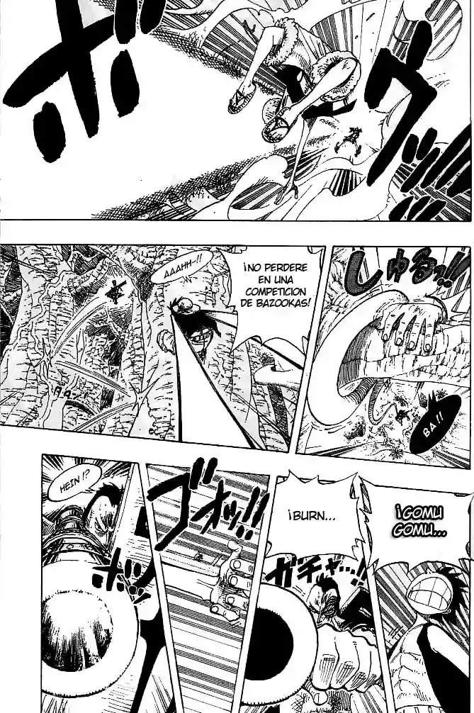 One Piece Capítulo 260 - Página 14 en español
