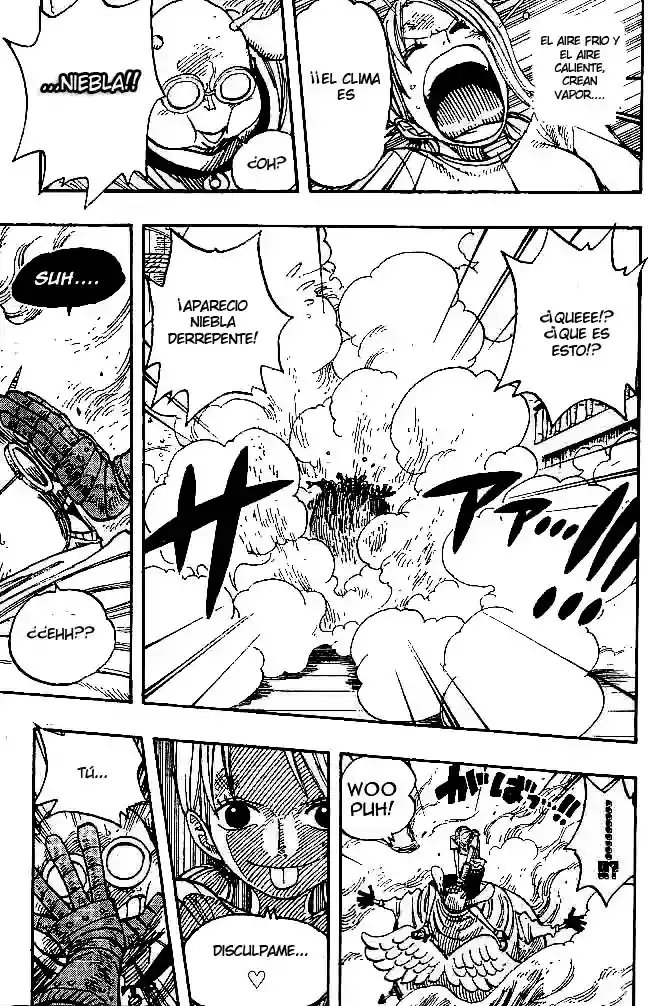 One Piece Capítulo 263 - Página 17 en español