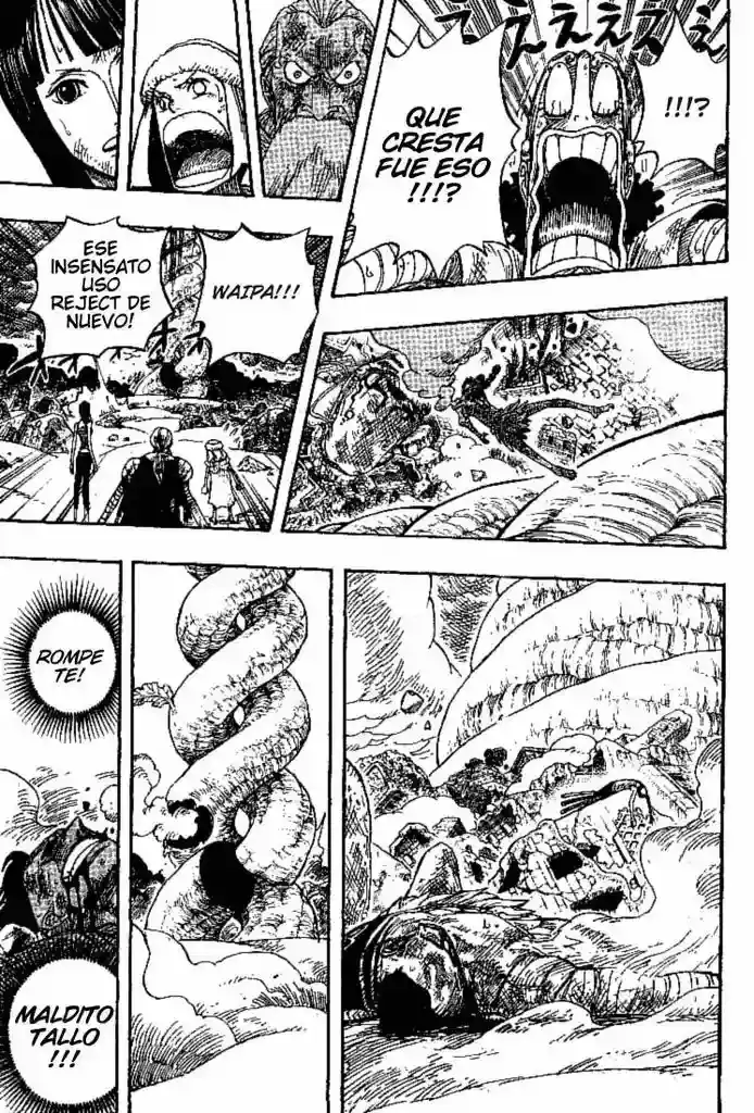 One Piece Capítulo 296 - Página 15 en español