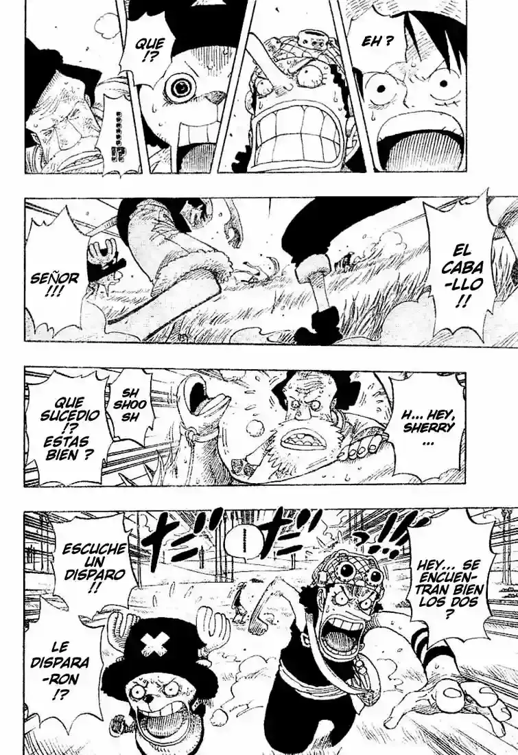 One Piece Capítulo 305 - Página 14 en español