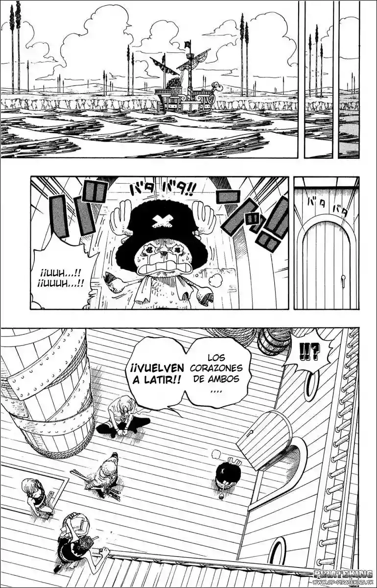 One Piece Capítulo 321 - Página 16 en español