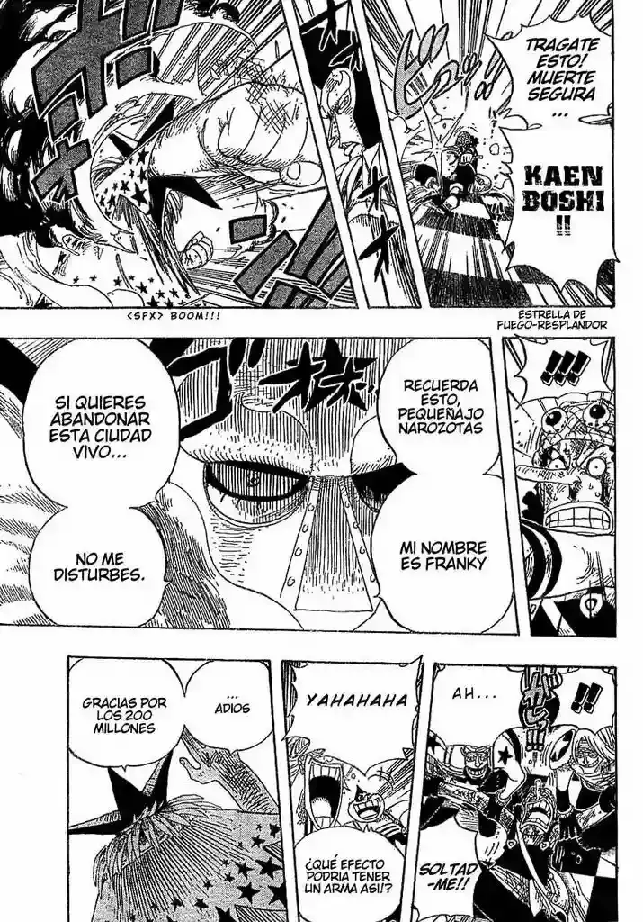 One Piece Capítulo 329 - Página 13 en español