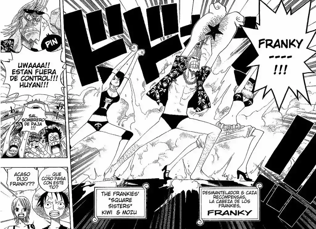One Piece Capítulo 335 - Página 14 en español
