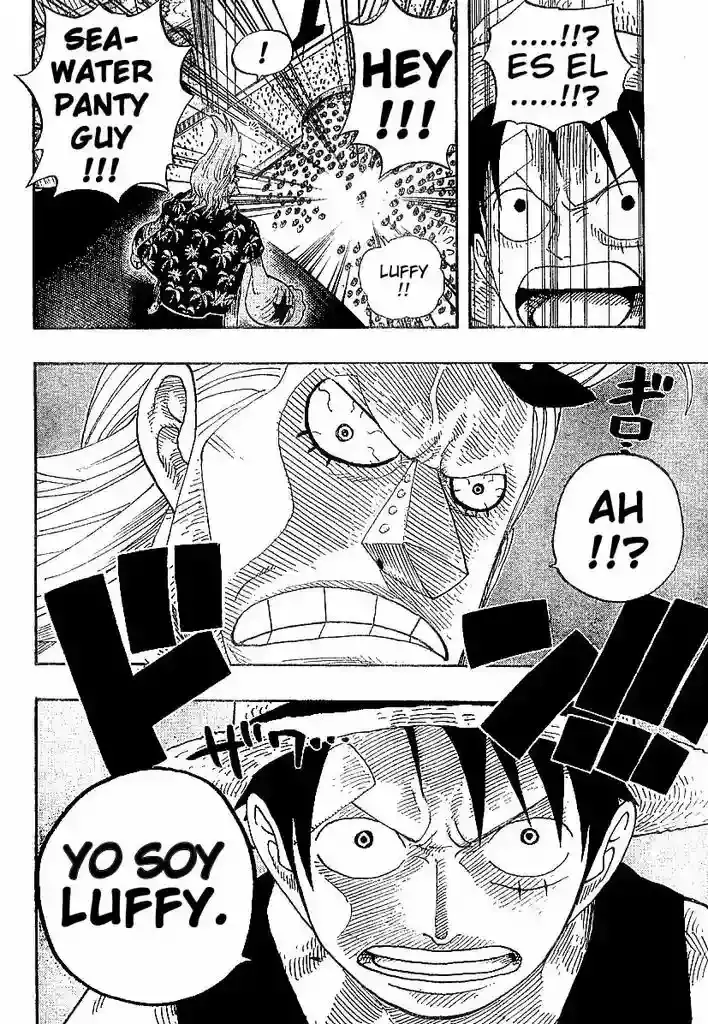 One Piece Capítulo 335 - Página 15 en español