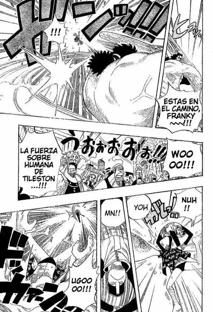 One Piece Capítulo 337 - Página 11 en español