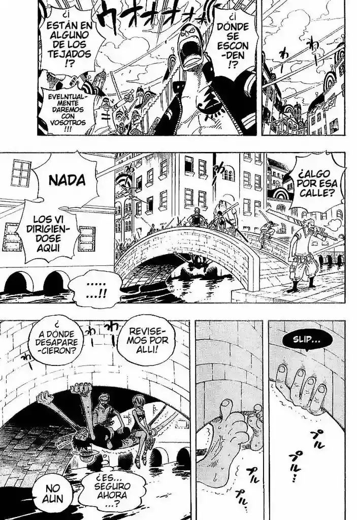 One Piece Capítulo 340 - Página 17 en español