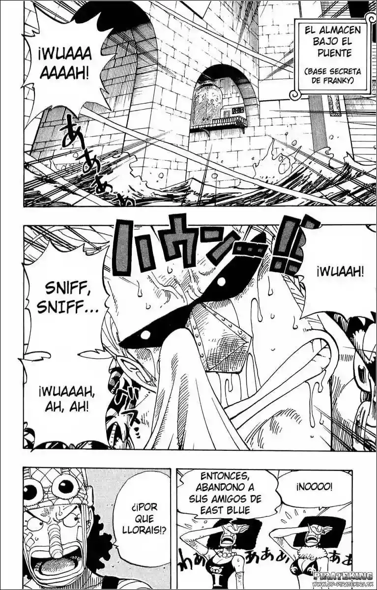One Piece Capítulo 350 - Página 8 en español