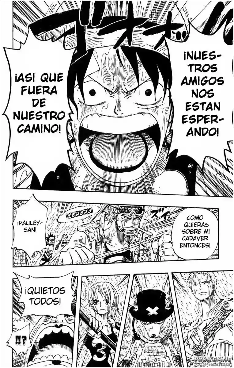 One Piece Capítulo 364 - Página 17 en español