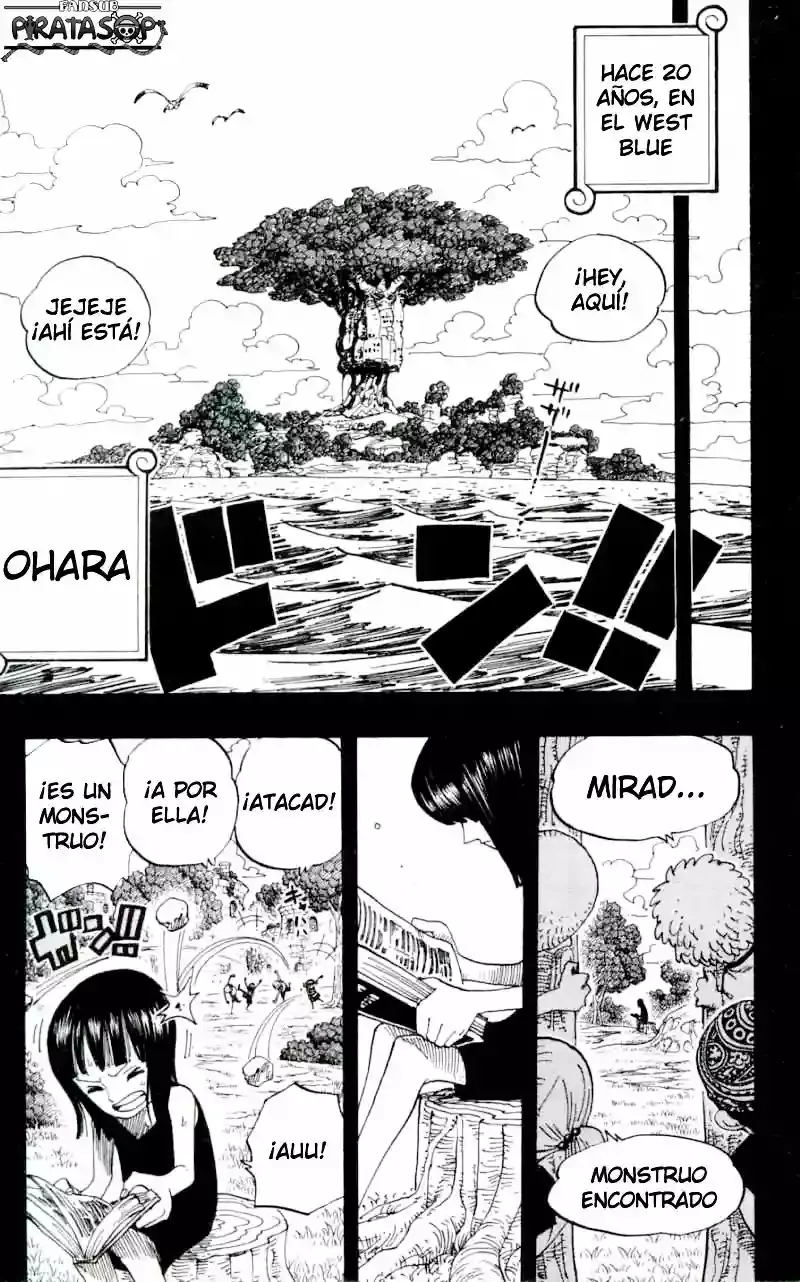One Piece Capítulo 391 - Página 13 en español