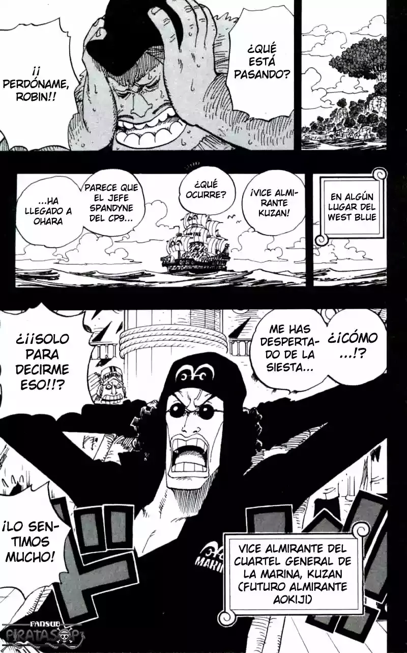 One Piece Capítulo 393 - Página 19 en español