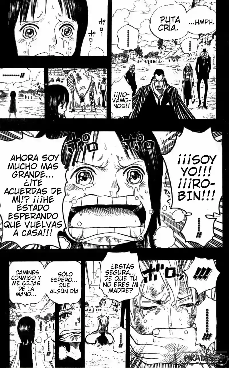 One Piece Capítulo 395 - Página 17 en español