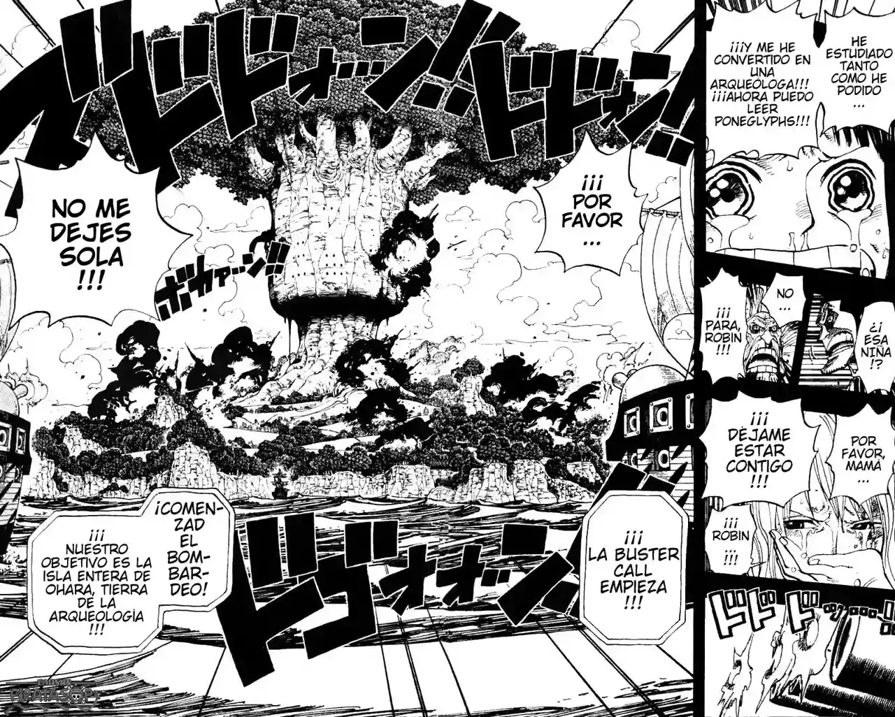 One Piece Capítulo 395 - Página 18 en español
