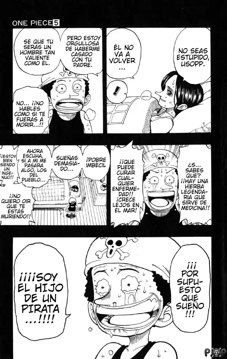 One Piece Capítulo 41 - Página 16 en español