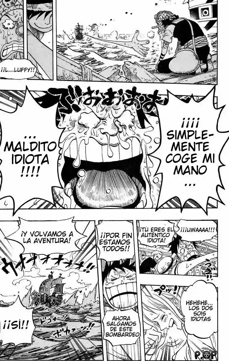One Piece Capítulo 438 - Página 18 en español
