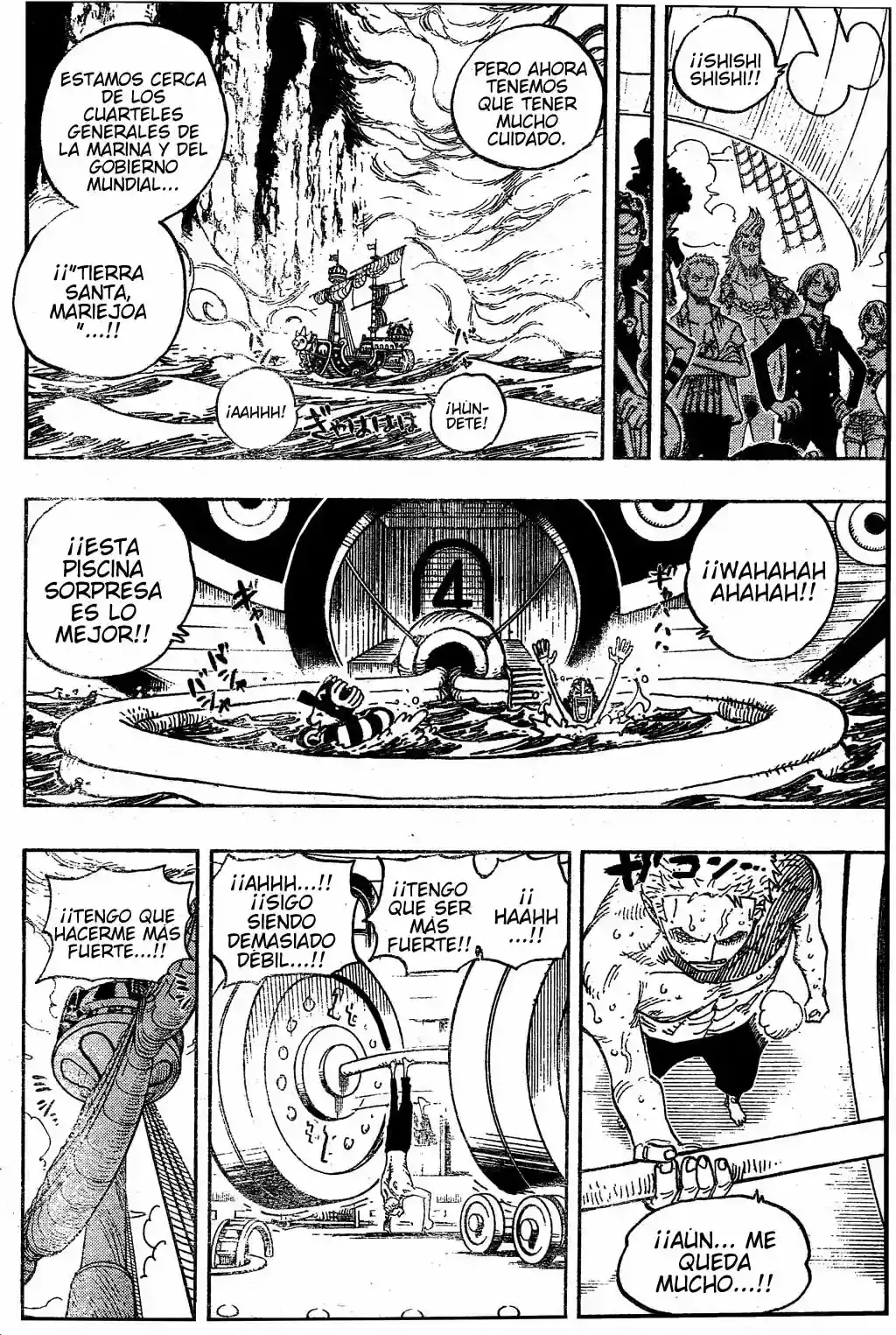 One Piece Capítulo 490 - Página 11 en español