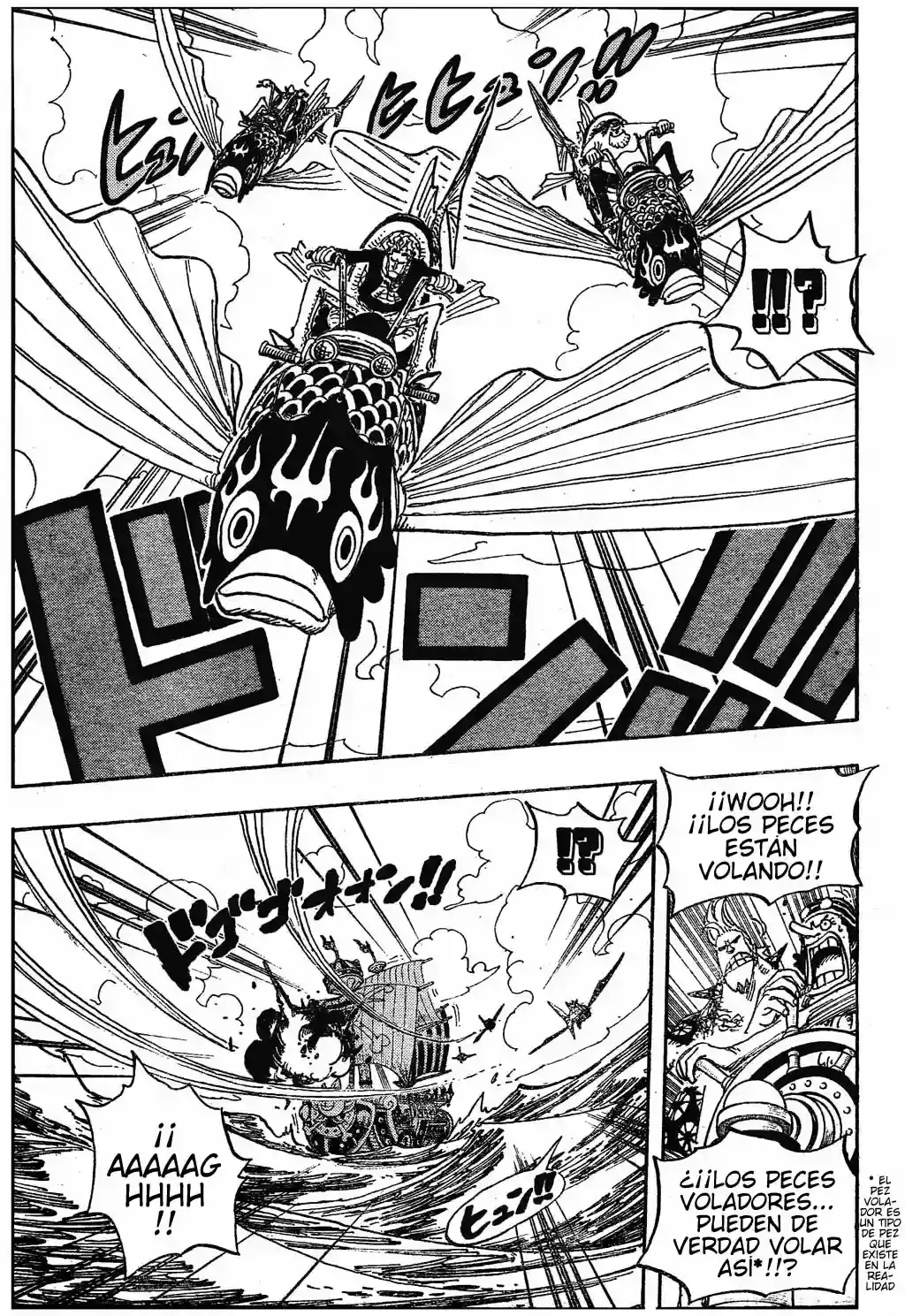 One Piece Capítulo 491 - Página 17 en español