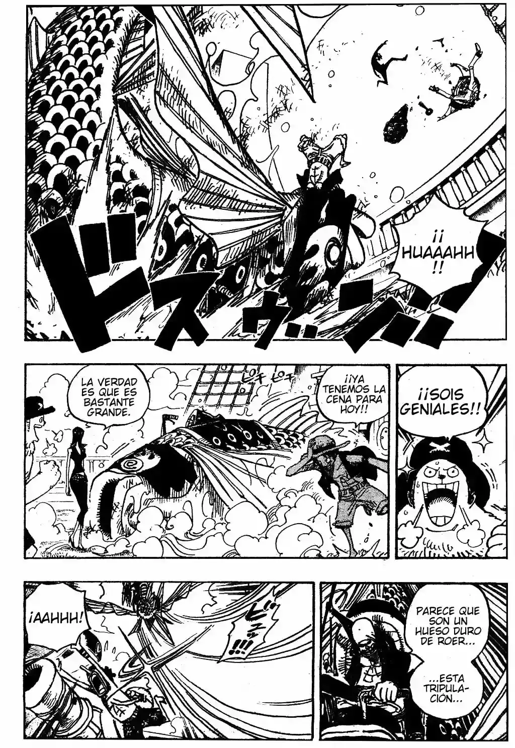 One Piece Capítulo 493 - Página 14 en español