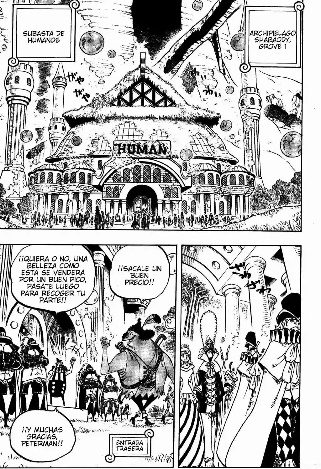 One Piece Capítulo 500 - Página 13 en español