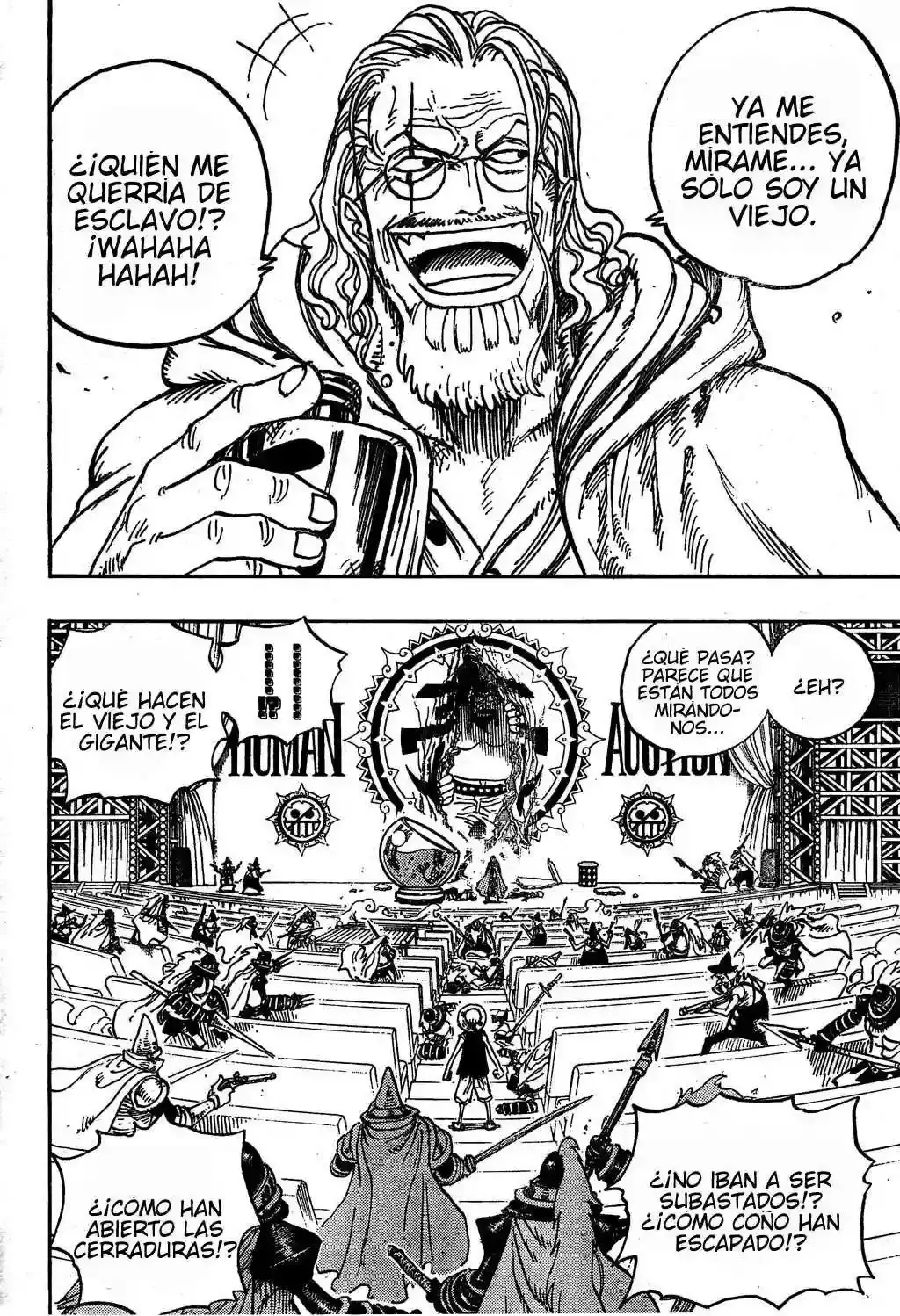 One Piece Capítulo 503 - Página 15 en español