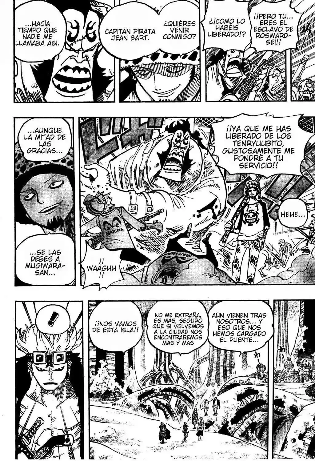 One Piece Capítulo 505 - Página 17 en español