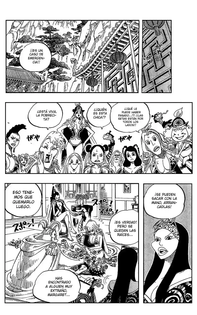 One Piece Capítulo 514 - Página 15 en español