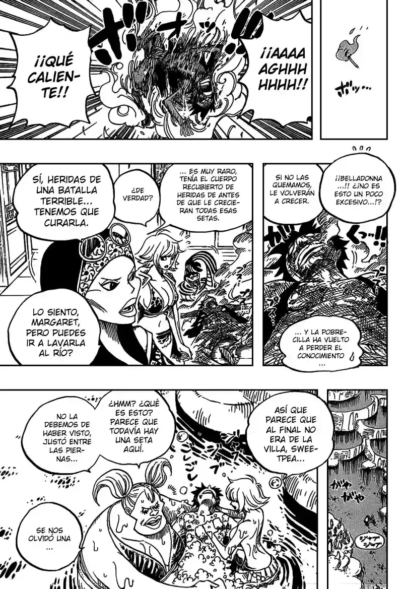 One Piece Capítulo 514 - Página 16 en español