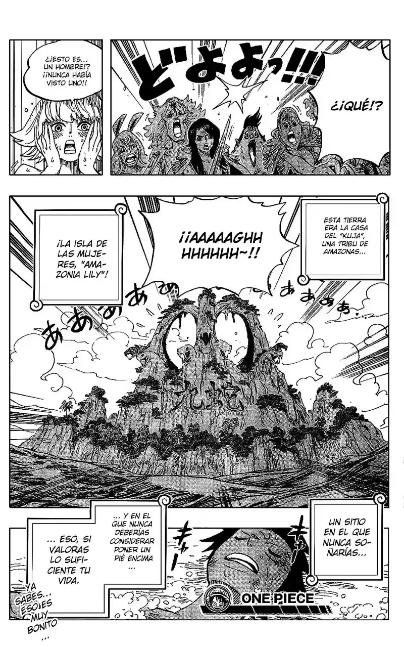 One Piece Capítulo 514 - Página 18 en español