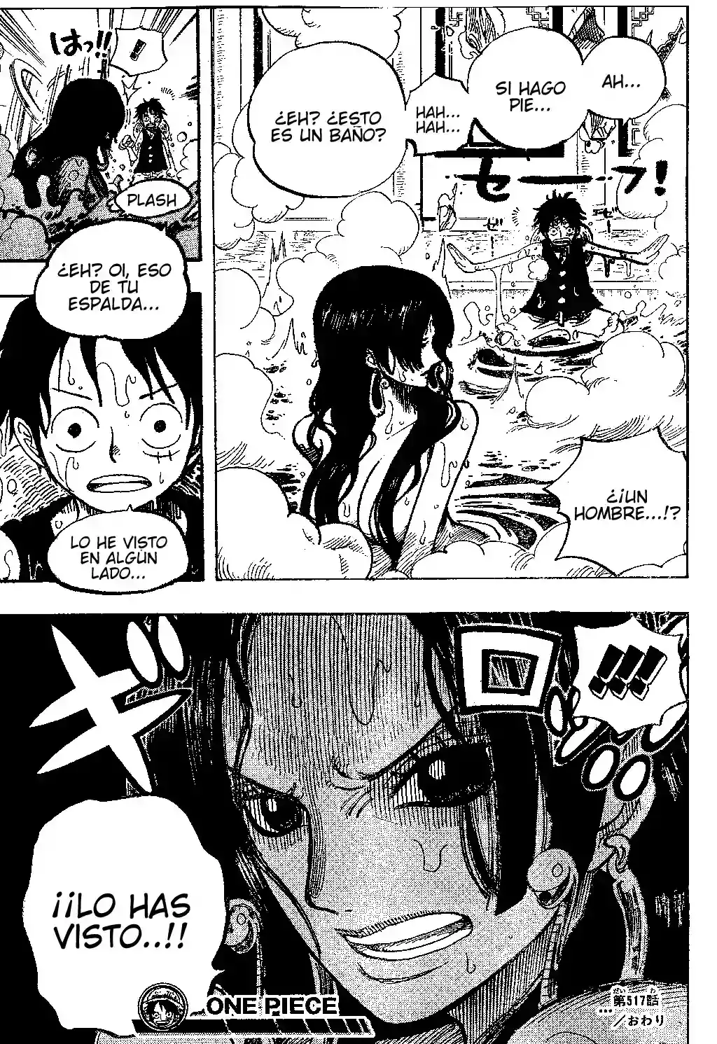 One Piece Capítulo 517 - Página 19 en español