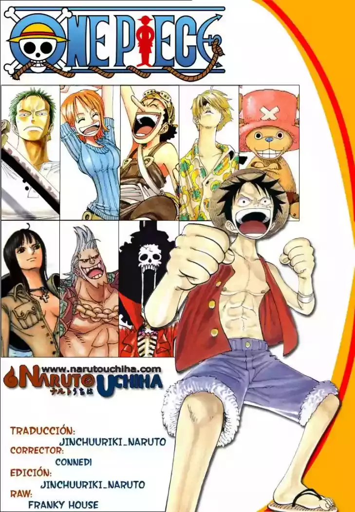 One Piece Capítulo 542 - Página 17 en español