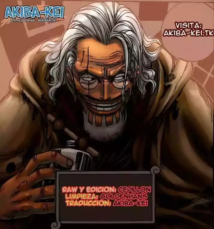 One Piece Capítulo 558 - Página 14 en español