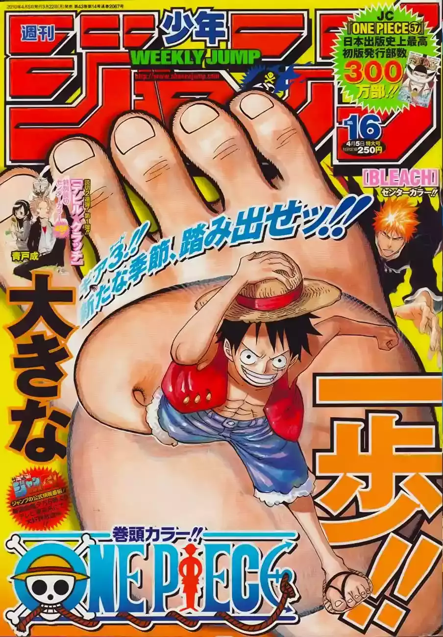 One Piece Capítulo 578 - Página 17 en español