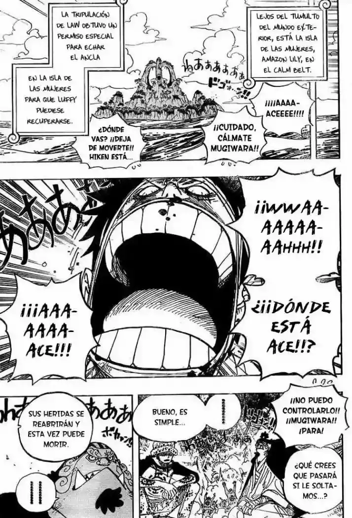 One Piece Capítulo 582 - Página 5 en español