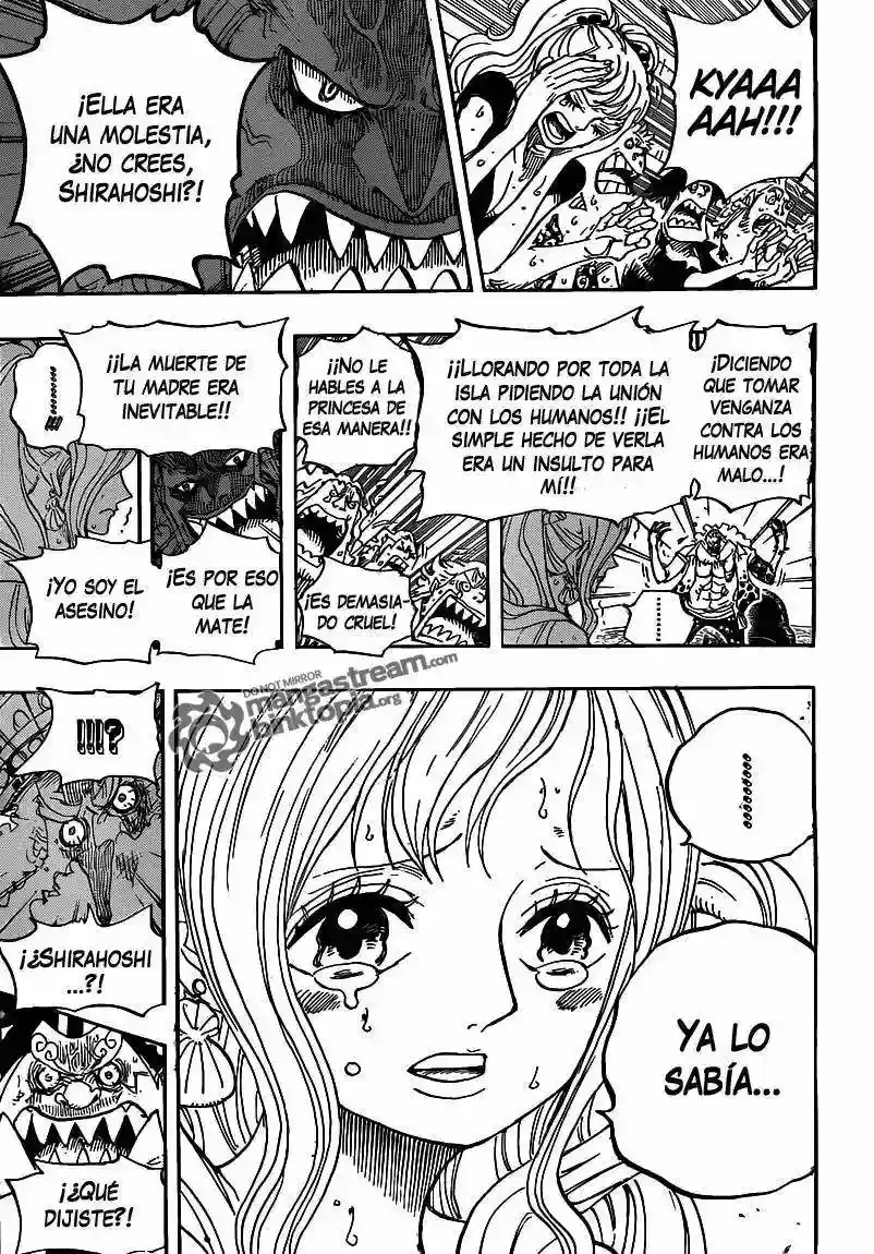 One Piece Capítulo 632 - Página 16 en español