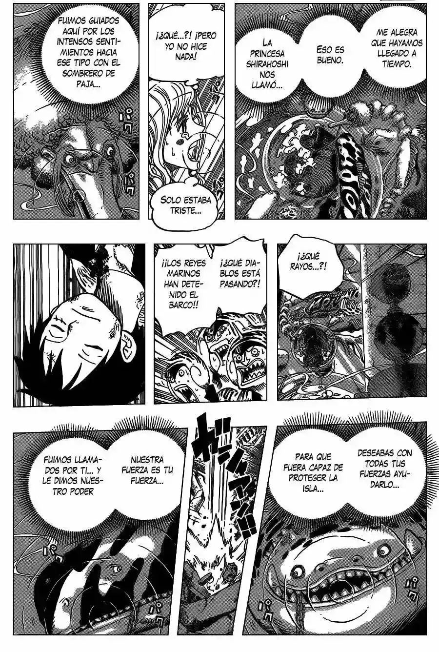 One Piece Capítulo 647 - Página 13 en español