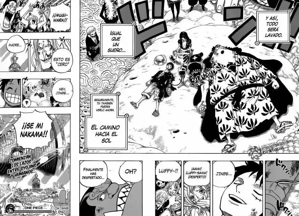 One Piece Capítulo 648 - Página 18 en español