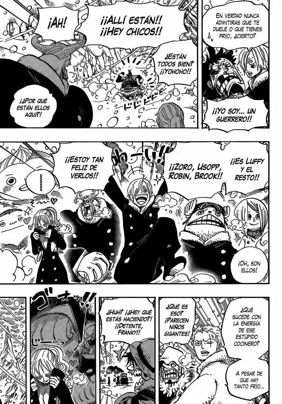 One Piece Capítulo 663 - Página 14 en español