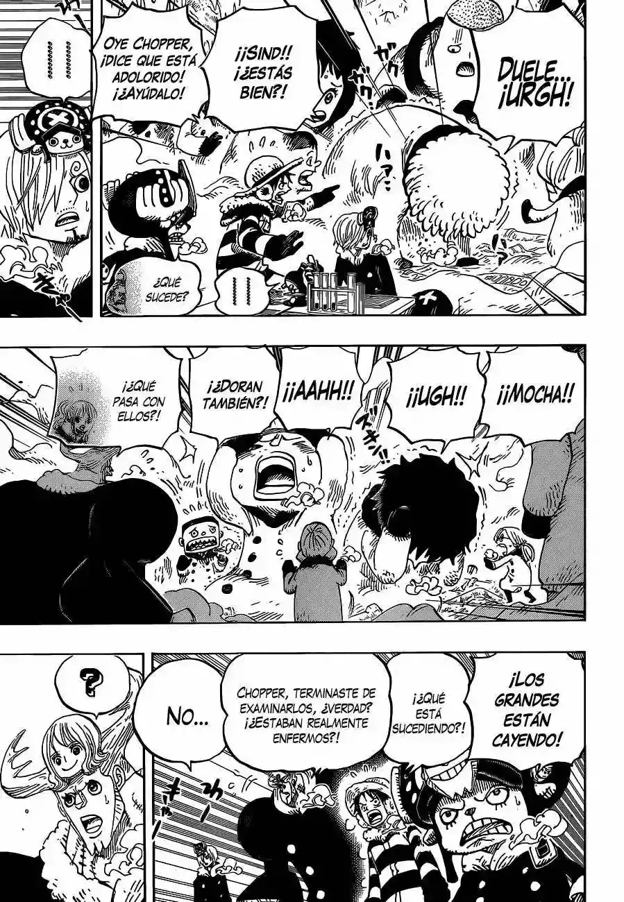 One Piece Capítulo 665 - Página 6 en español