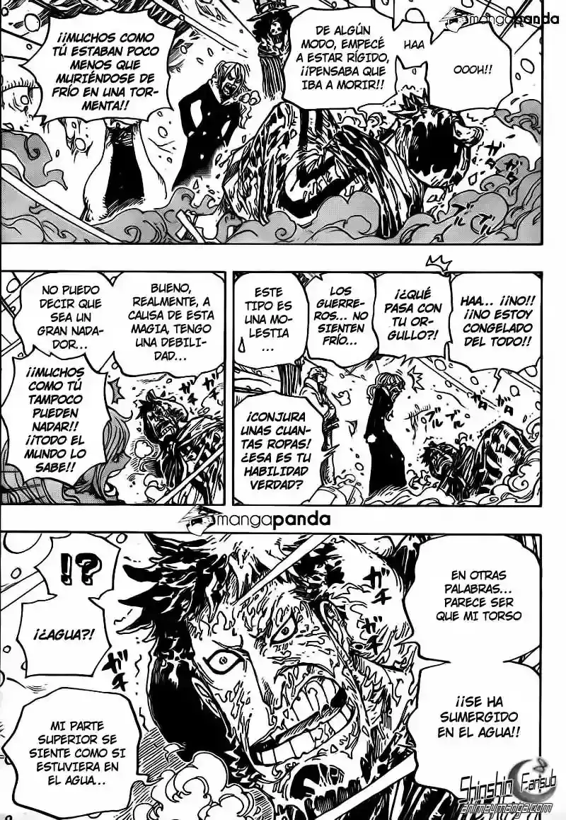 One Piece Capítulo 669 - Página 9 en español