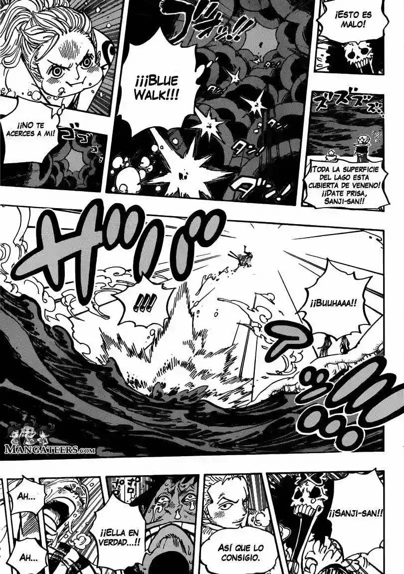 One Piece Capítulo 672 - Página 14 en español