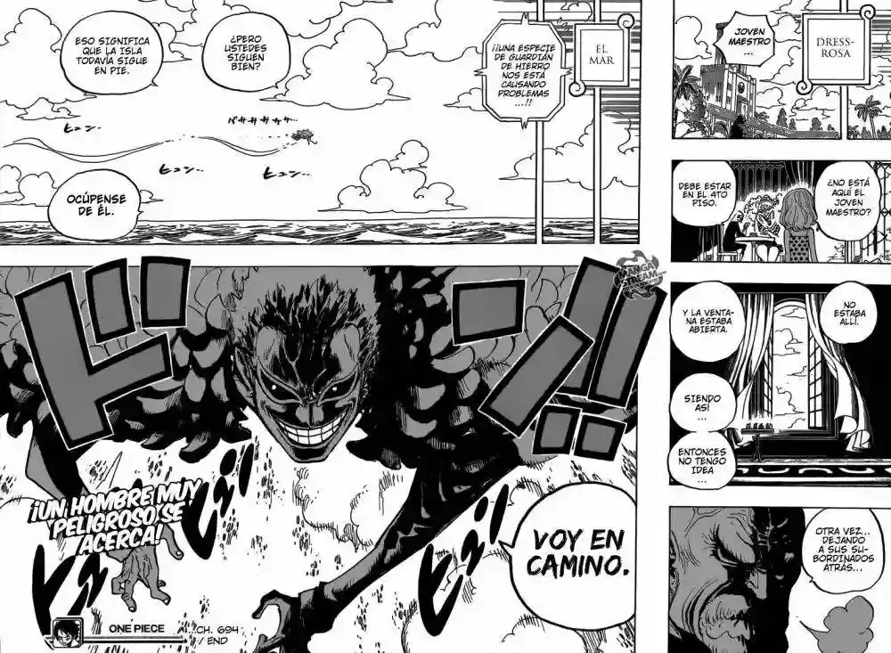 One Piece Capítulo 694 - Página 17 en español