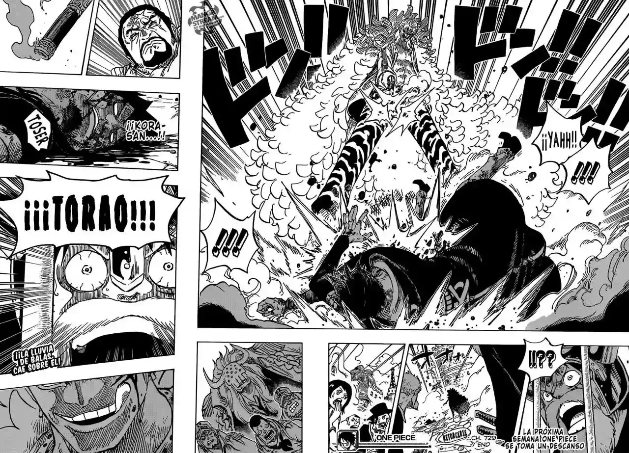One Piece Capítulo 729 - Página 17 en español