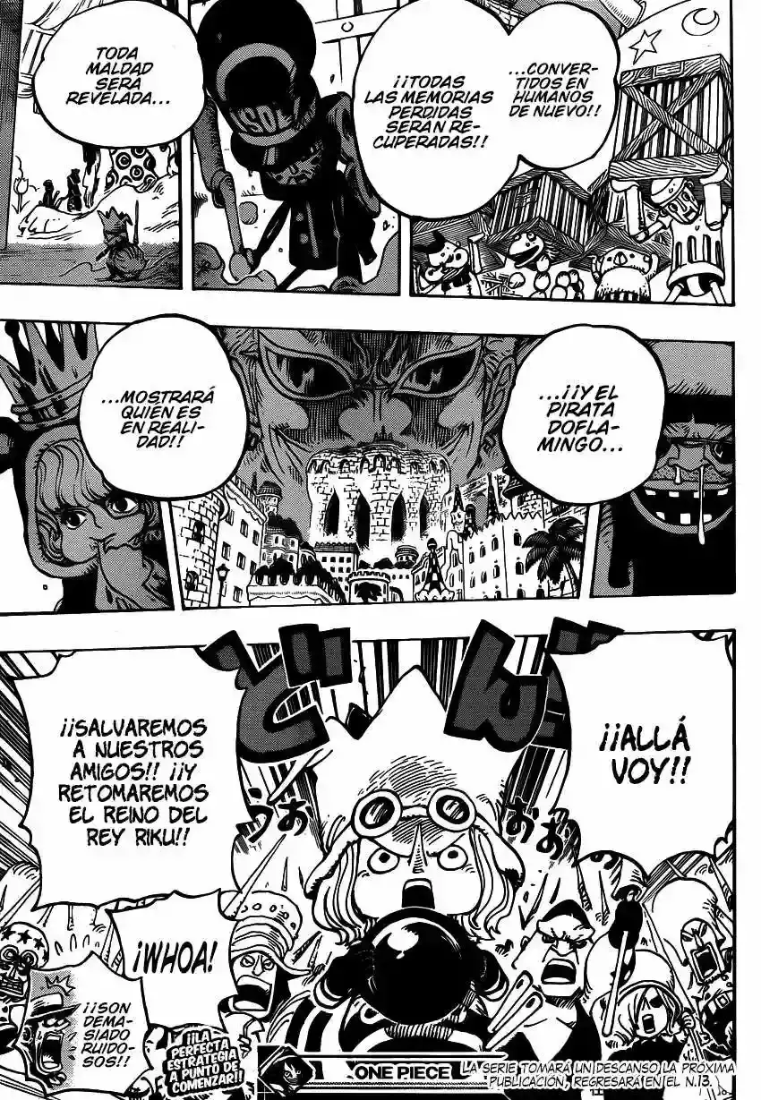 One Piece Capítulo 737 - Página 18 en español