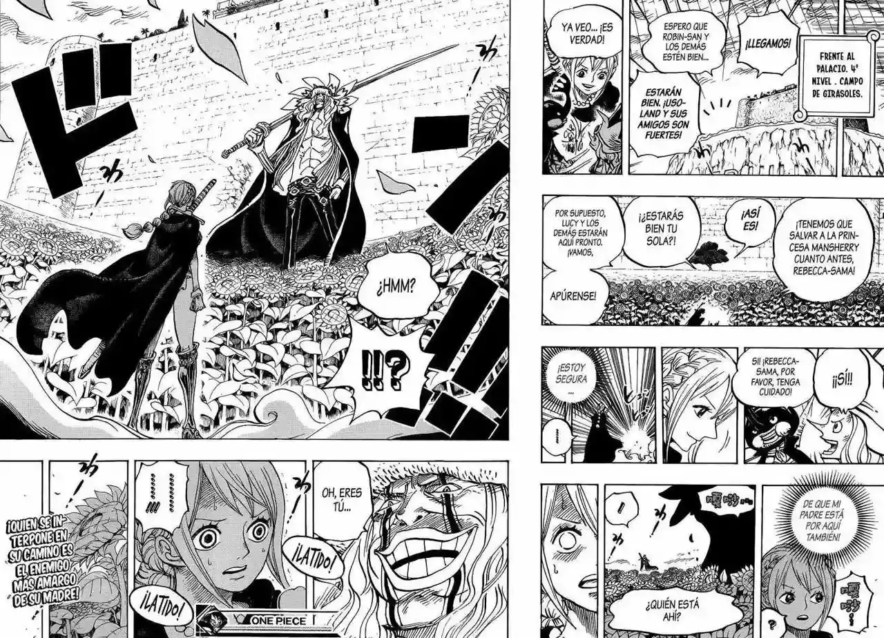 One Piece Capítulo 756 - Página 18 en español