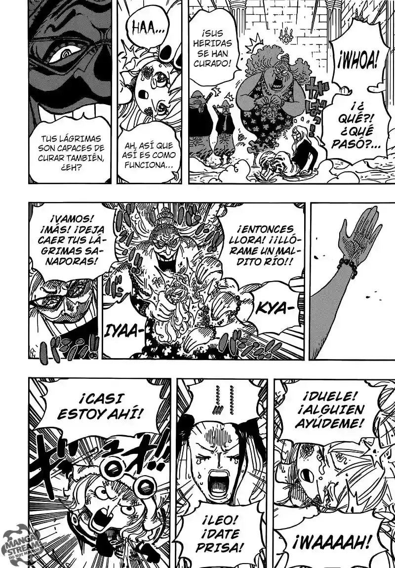 One Piece Capítulo 774 - Página 10 en español