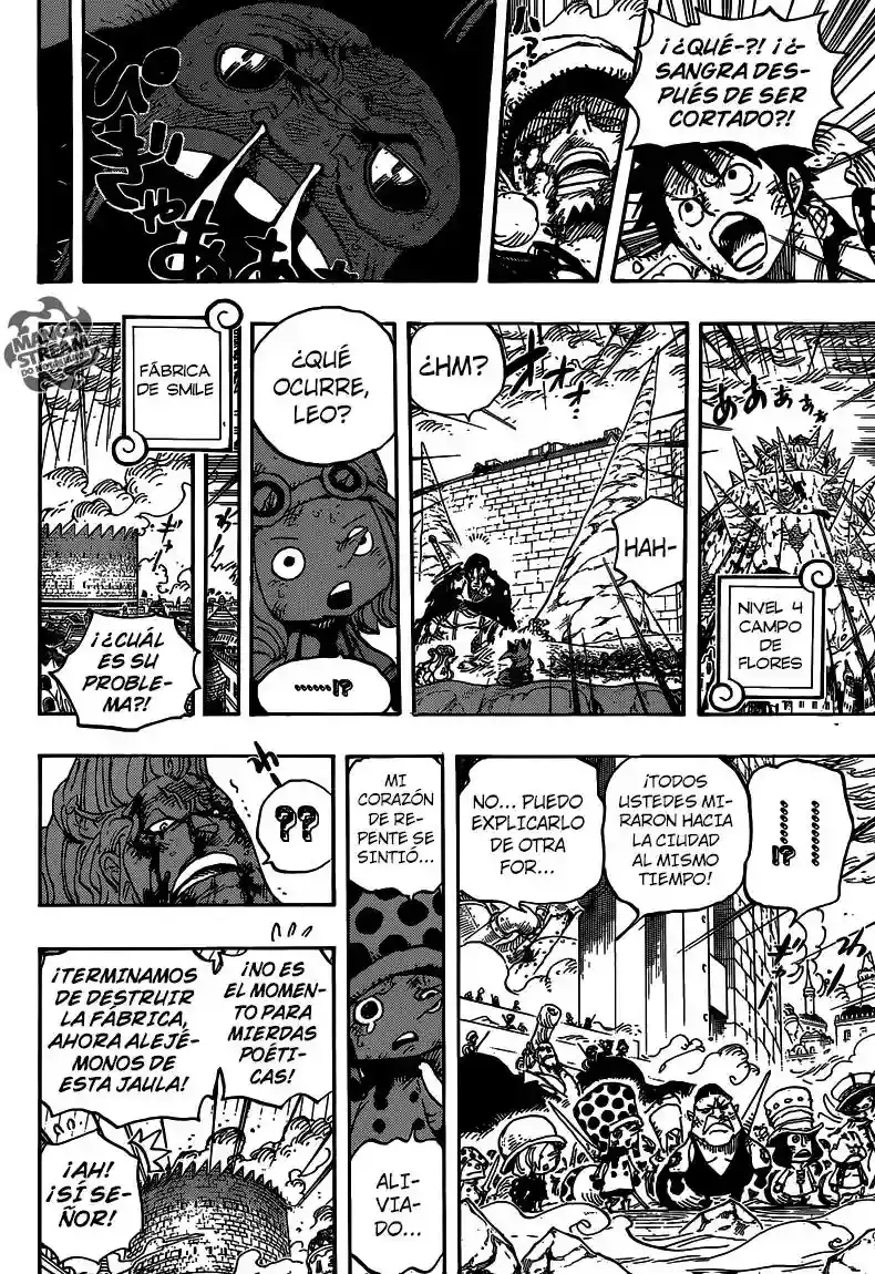 One Piece Capítulo 782 - Página 17 en español