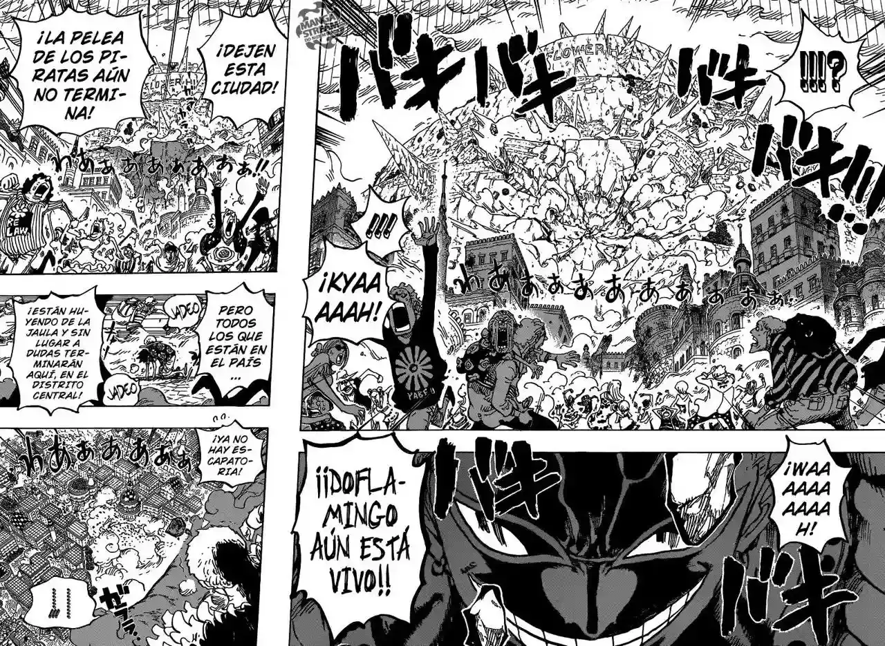 One Piece Capítulo 786 - Página 11 en español